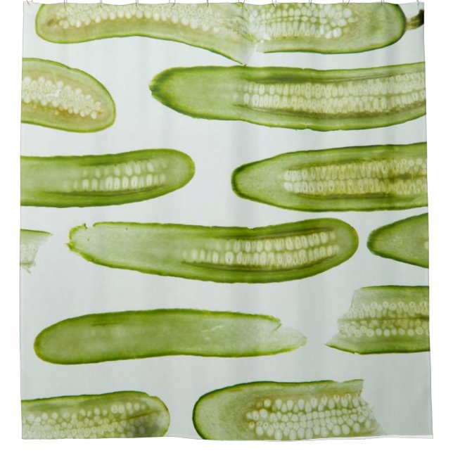Pickles Green Duschvorhang (Vorderseite)