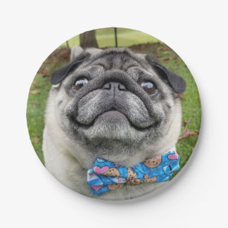 Pickles Paper Plate Pappteller