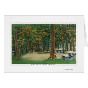 Picknick-Boden-Ansicht von Saratoga Schlachtfeld