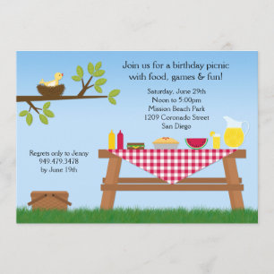 Picknick-Geburtstags-Party Einladung