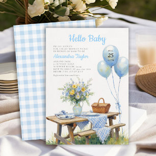 Picknick-Park-Ballons Blaue Blumen-Jungen-Baby-Par Einladung