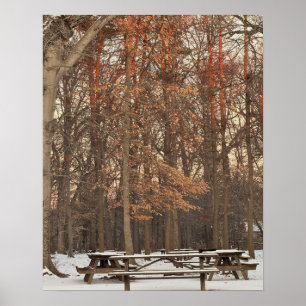 Picknick-Tische während Winterposter Poster