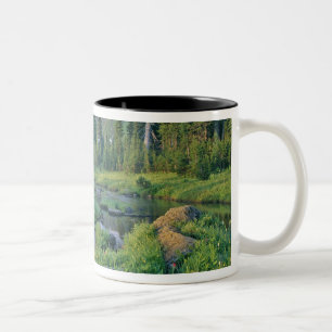 Picnic Creek im Jewel Becken der Schwan Zweifarbige Tasse
