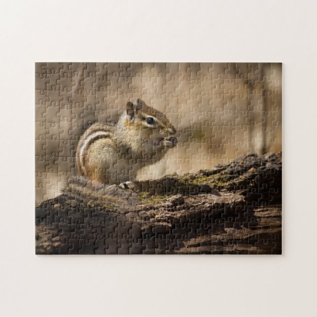 Picnic im Woods-Rätsel (Horizontal)