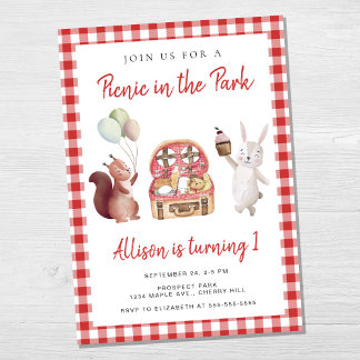 Picnic in Park Child Birthday Party Einladung