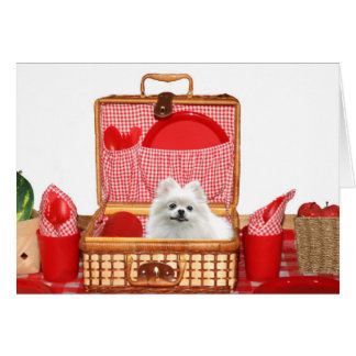 Picnic Spitz