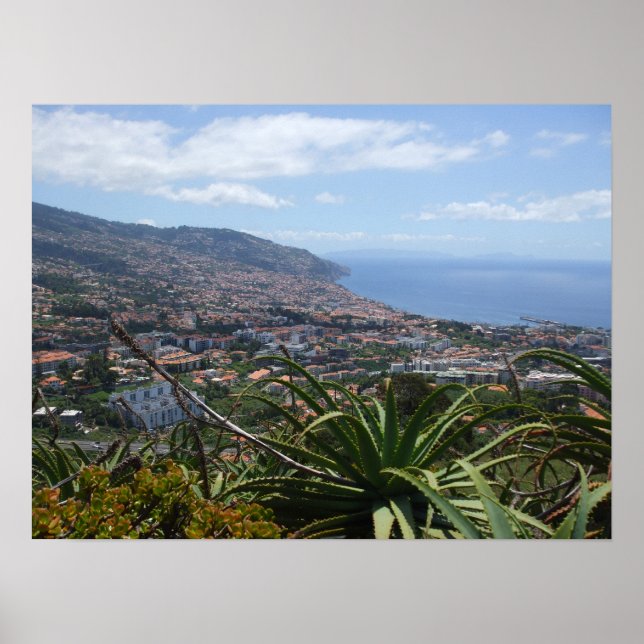 Pico dos Barcelos II Poster (Vorne)