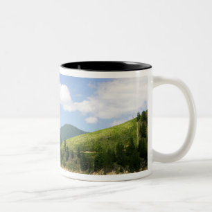 Picton, Neuseeland. Das Tor zwischen Nord Zweifarbige Tasse