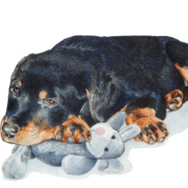 picture of puppy cuddling teddy rottweiler dog napf