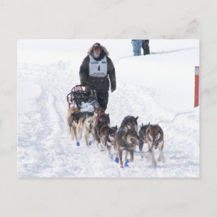 PIcture Perfect 2009 UP 200 Postkarte