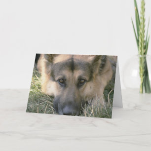 Picture Perfect Niedlich Puppy Dog Karte