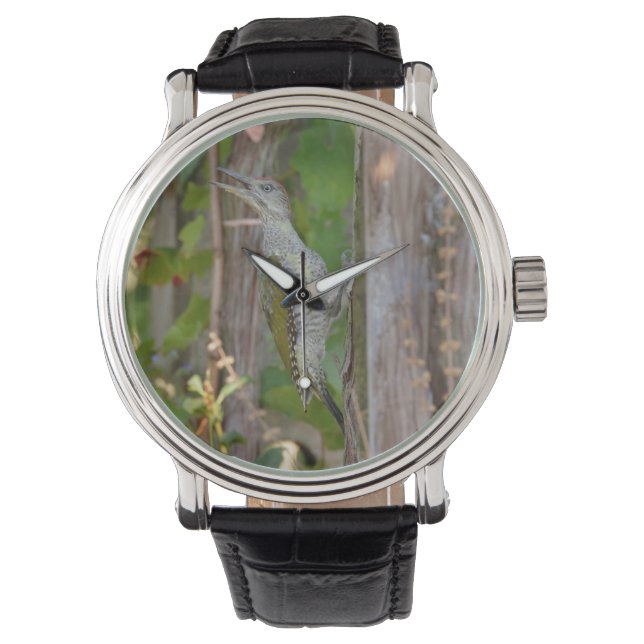 Picus Viridis - Grünspecht Armbanduhr (Vorderseite)