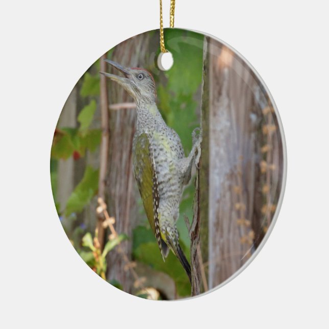 Picus Viridis - Grünspecht Keramikornament (Links)