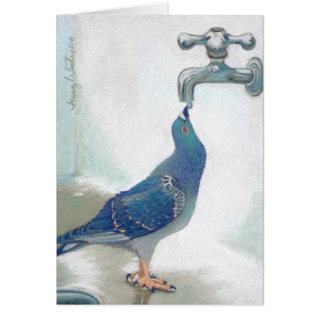 Pidgeon de Frank (Devant)