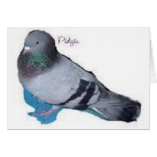 Pidgie: Pidgie Fund Pigeon