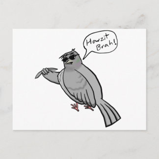 Pidgin Pigeon Postcard Postkarte
