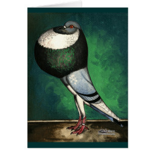 Pie bleu de tondeur de Norwich