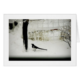 Pie de photo de beaux-arts dans la neige par