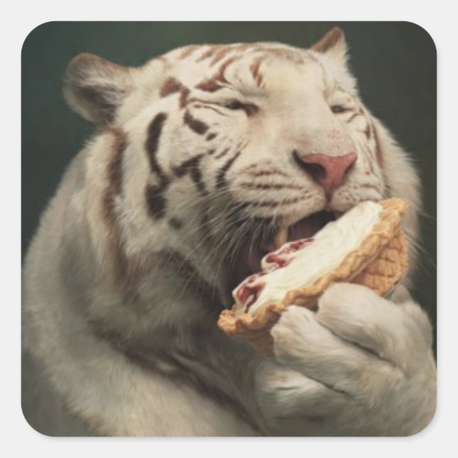 Pie-Loving White Tiger – Fun Sticker (Devant)