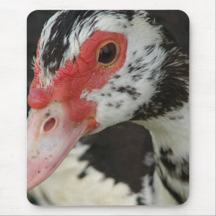 Pie sagt: "Hi!" Mousepad