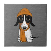 Piebald Dackel | Niedlicher Hipster Hund