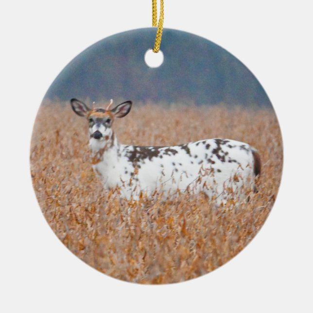 Piebald Deer Foto Ornament (Vorne)