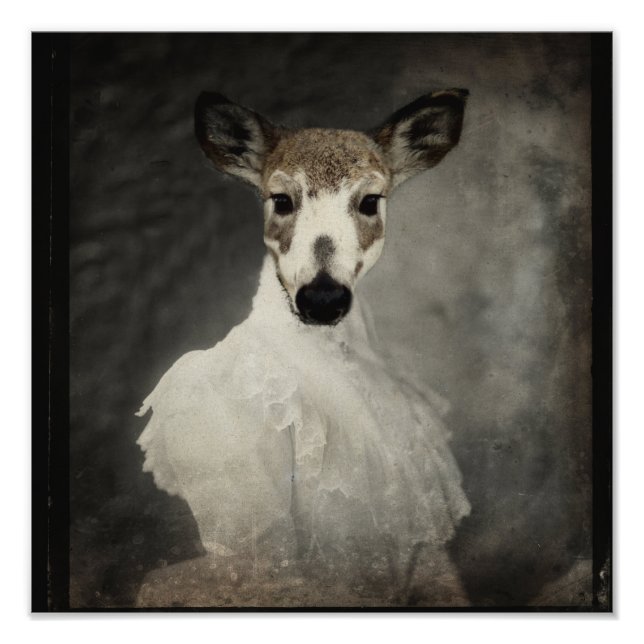Piebald Deer im Kleid Fotodruck (Vorne)