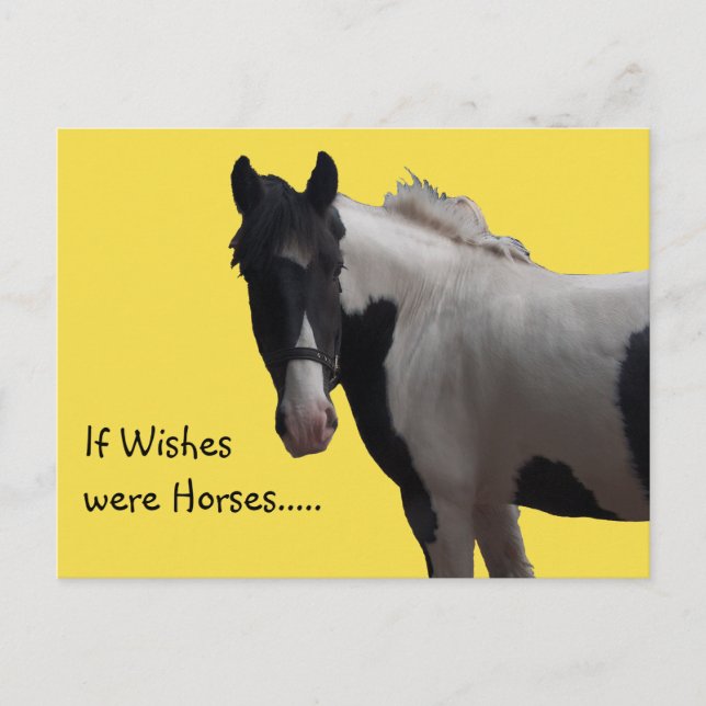 Piebald Paint Pony wünscht Yellow Foto Postkarte (Vorderseite)