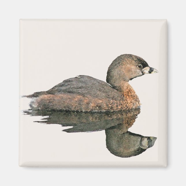 Pied Billed Grebe Magnet (Vorne)