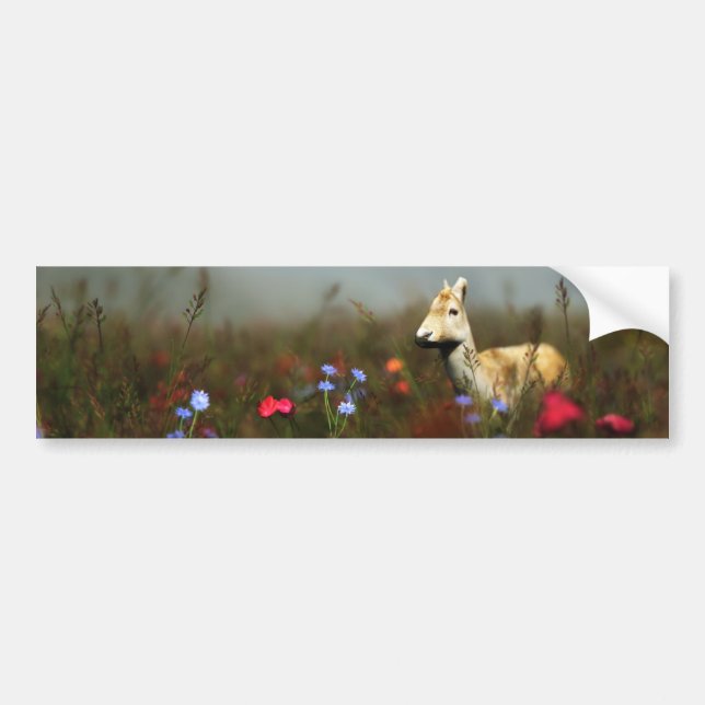 Pied dans un Sticker de pare-chocs de prairie (Devant)
