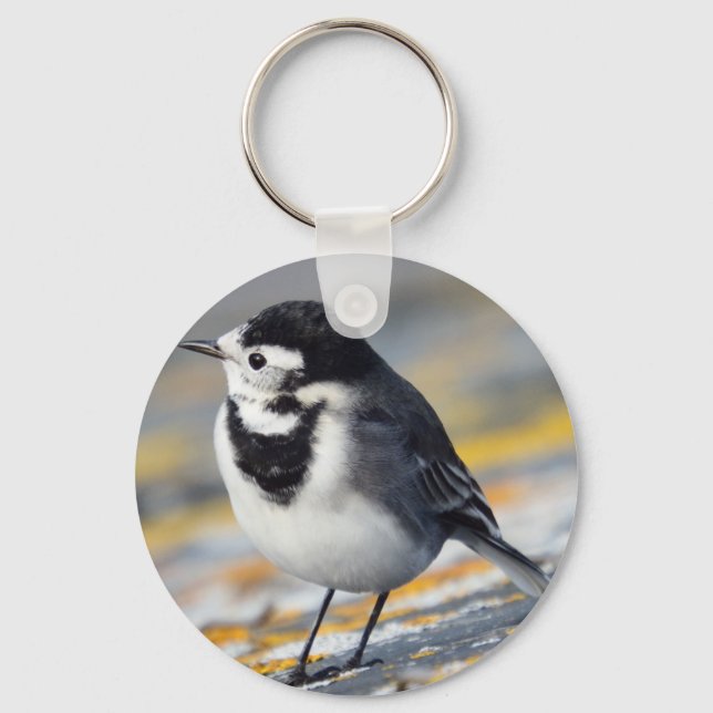 Pied Wagtail Keyring Schlüsselanhänger (Vorderseite)