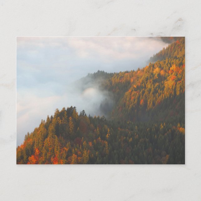 Pieniny-Wolken Herbst Postkarte (Vorderseite)