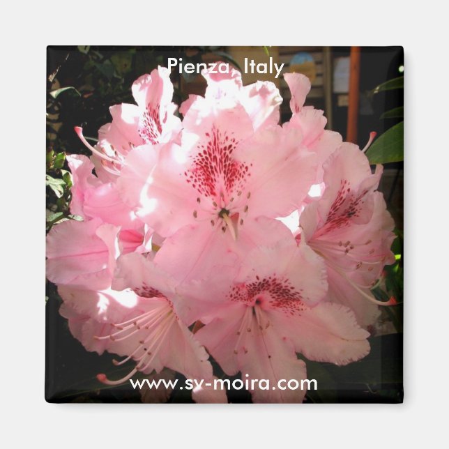 Pienza, Italien Magnet (Vorne)