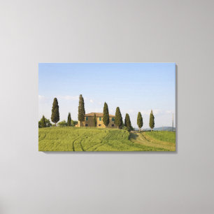 Pienza, Val d'Orcia, Provinz Siena, Toskana, Leinwanddruck