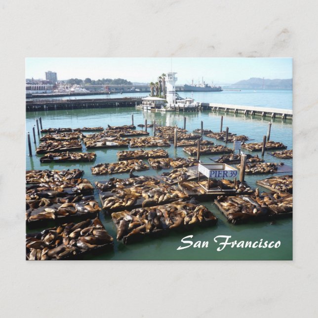Pier 39 postkarte (Vorderseite)