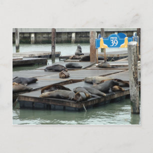 Pier 39 postkarte