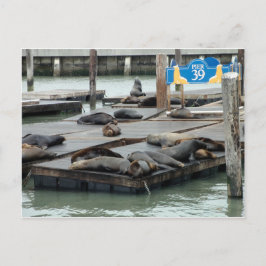 Pier 39 postkarte