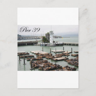 Pier 39 postkarte