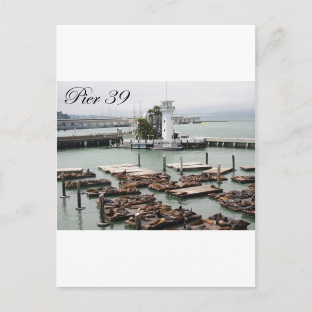 Pier 39 postkarte (Vorderseite)