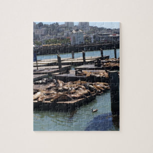 Pier 39 San Francisco Kalifornien