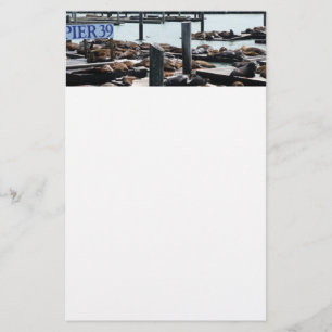 Pier 39 Seelöwen Briefpapier