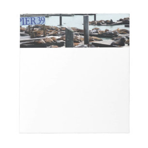 Pier 39 Seelöwen Notizblock