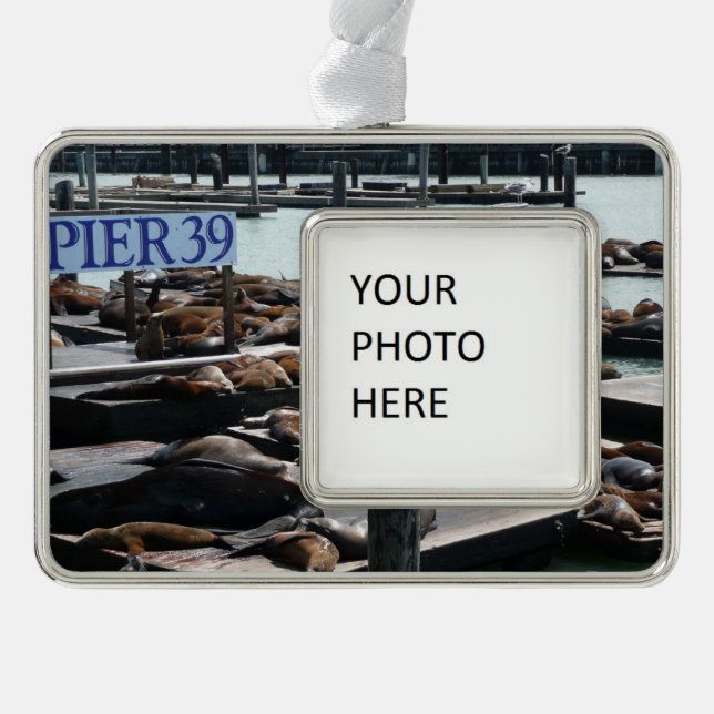 Pier 39 Seelöwen Rahmen-Ornament Silber (Vorderseite)