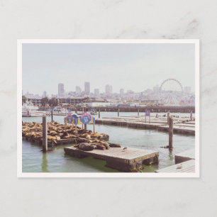 Pier 39 Seelöwen & Riesenrad San Francisco Postkarte