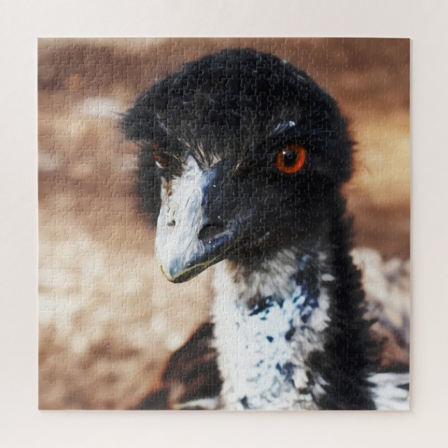 Piercing Eyes of the Outback (Vertikal)