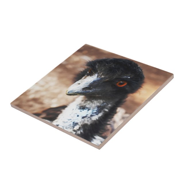 Piercing Eyes of the Outback Fliese (Seite)