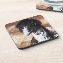 Piercing Eyes of the Outback Getränkeuntersetzer