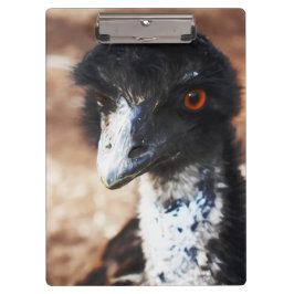 Piercing Eyes of the Outback Klemmbrett