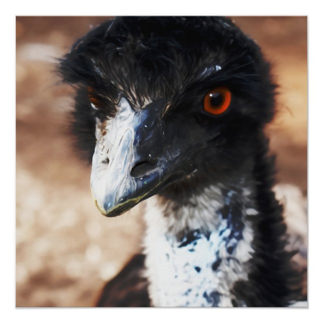 Piercing Eyes of the Outback Poster (Vorderseite)