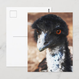 Piercing Eyes of the Outback Postkarte